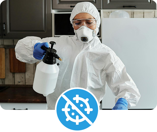 Desinfección y sanitización